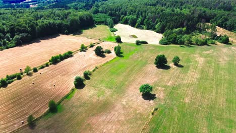 Luftdrohnenaufnahme-über-Ackerland-Und-Wald-Im-Sommer,-4k