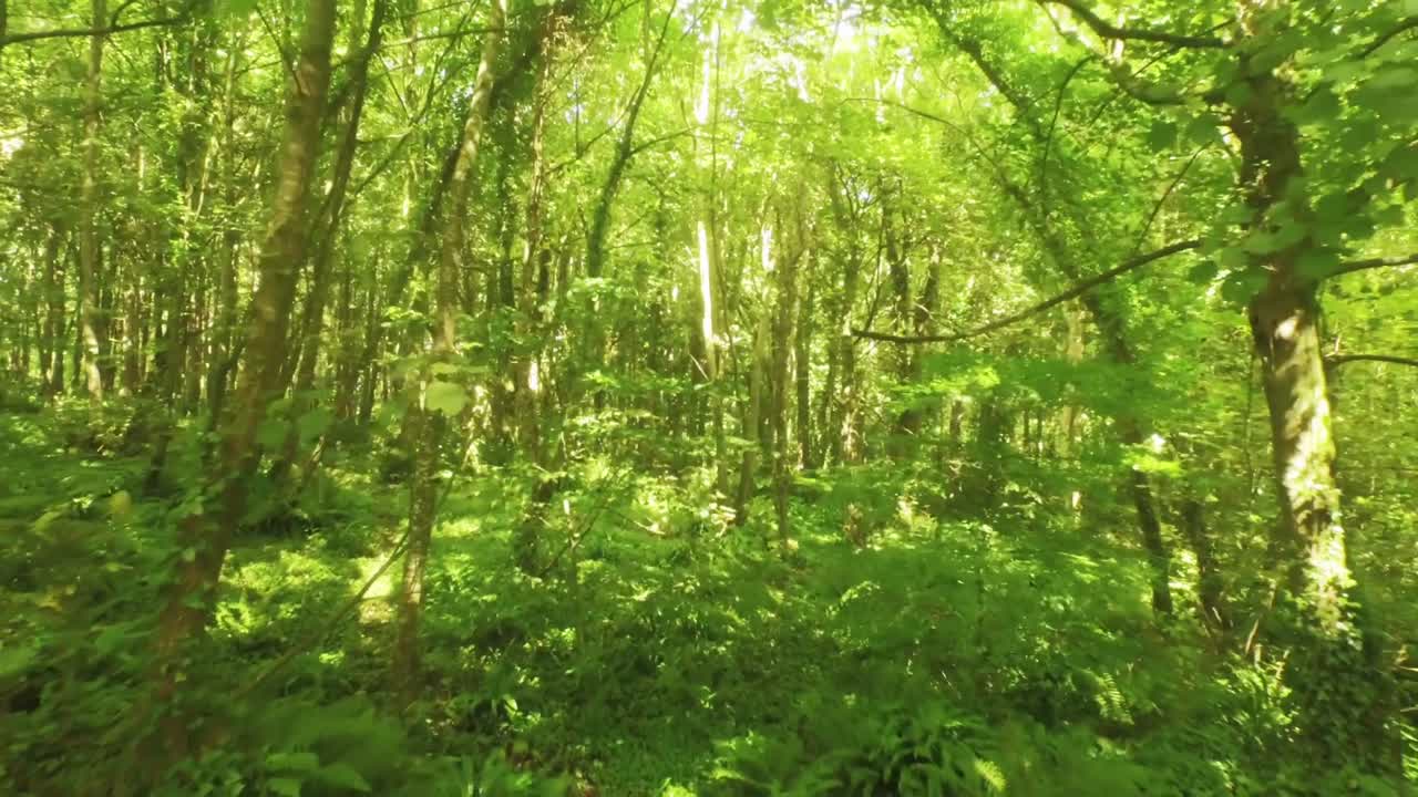 평화로운 시골의 드론 영상