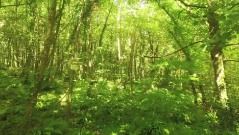 drone footage of peaceful countryside