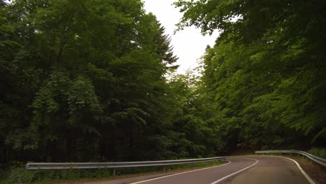 dolly-forward---drive-through-a-forest-on-a-winding-road,-Bucegi-Mountains,-Romania