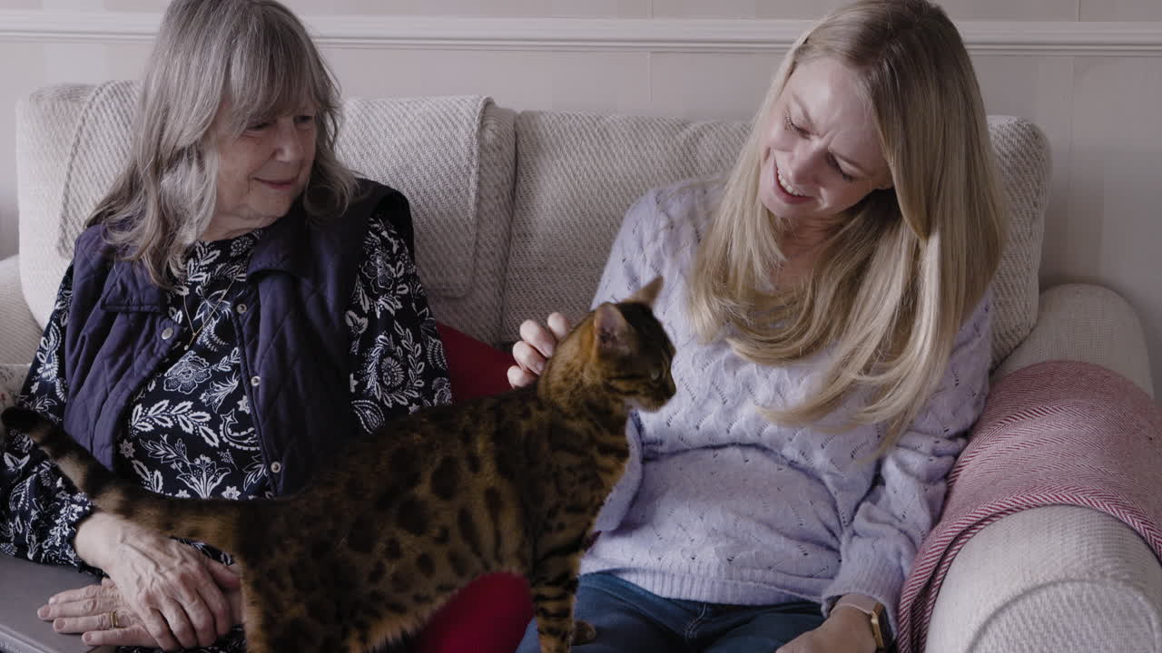 Two Women Petting a Bengal Cat on a Couch