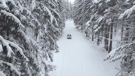 Luftaufnahme-Eines-Sportwagens,-Der-An-Einem-Kalten-Wintertag-Auf-Einer-Verschneiten-Straße-Zwischen-Schneebedeckten-Bäumen-Im-Wald-Auf-Eine-Kamera-Zufährt---Drohnenaufnahme,-Statische-Aufnahme