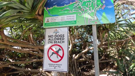 sign prohibiting dogs on nambucca heads beach