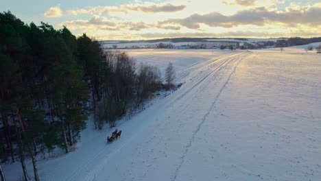 Drohnenaufnahme-Nach-Einem-Von-Pferden-Gezogenen-Schlitten-Auf-Einem-Schneebedeckten-Weg-Neben-Einem-Wald-An-Einem-Kalten-Winterabend