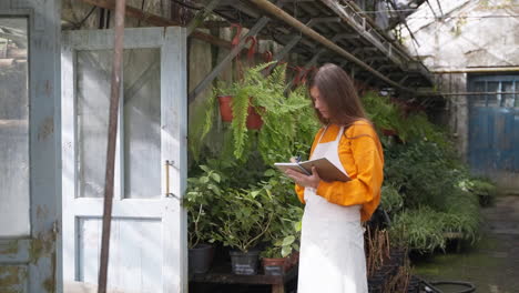 woman gardener checking plants in greenhouse