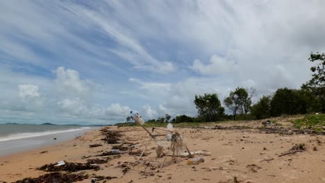 un lapso de tiempo de basura y plástico oceánico arrastrado en una playa remota en el norte de australia