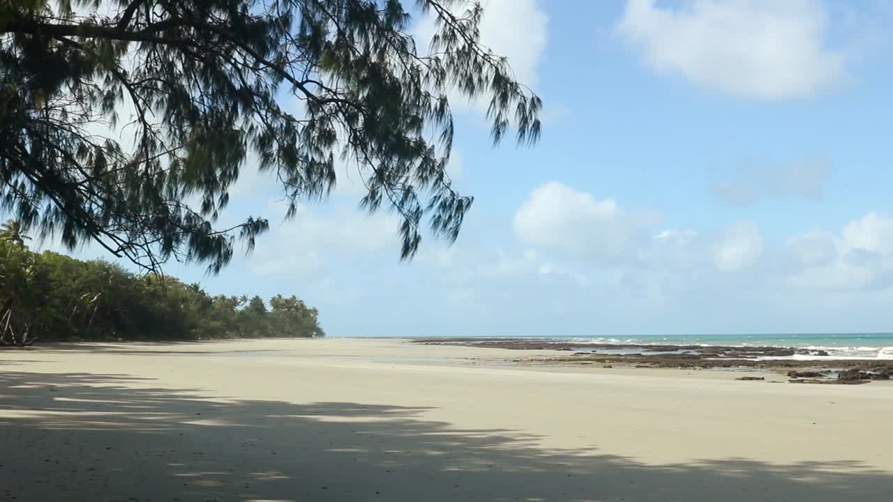 Branches from the dense rainforest hang into a view of a tropical beach