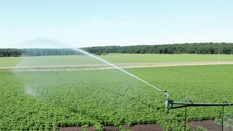 Aerial,-end-gun-of-center-pivot-irrigation-system-watering-crops,-forming-rainbow