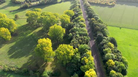 vía férrea entre dos líneas de árboles de colores otoñales en la campiña de kent