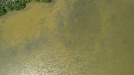 Toma-Aérea-De-Drones-De-Los-Límites-Del-Manglar-Y-El-Asentamiento-Humano-De-Chelem-En-Yucatán-México