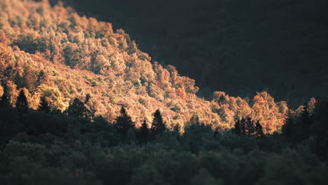 Aerial-view-of-the-forest-covered-hills-above-lake-Loen-in-Lodalen-valley