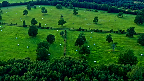 high level drone footage on green field harvested with bales of straw - panning shot and truck shot