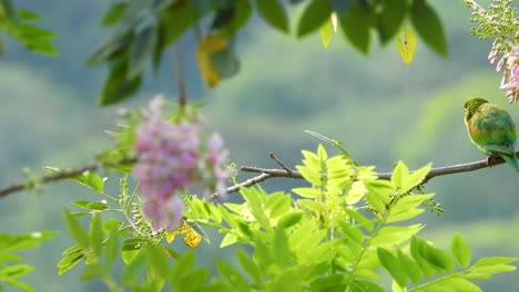 vibrant green parrot perched on a branch with pink flowers and lush foliage, soft-focus background