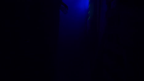 slow motion: inside a creepy haunted house during halloween with black lights and strobes, mannequins, skulls, clowns, evil rabbits, and spooky designs