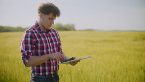 agricultor que examina el cultivo de trigo