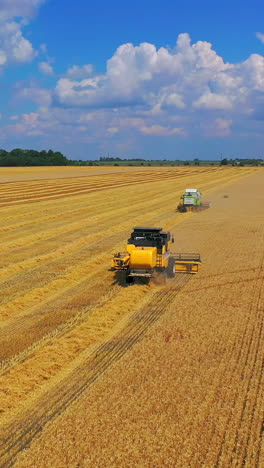 combine harvester agricultural machine. drone view of harvester gathering wheat crop in farmland. vertical video