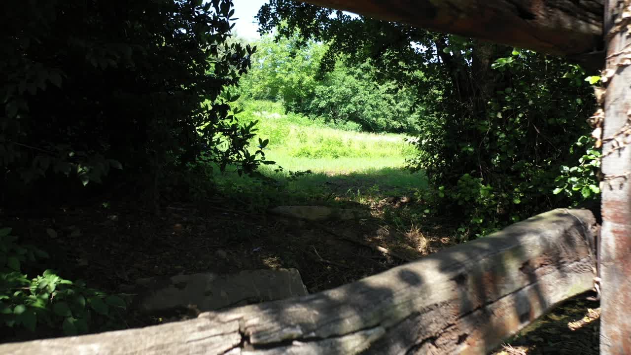 나무 울타리를 지나