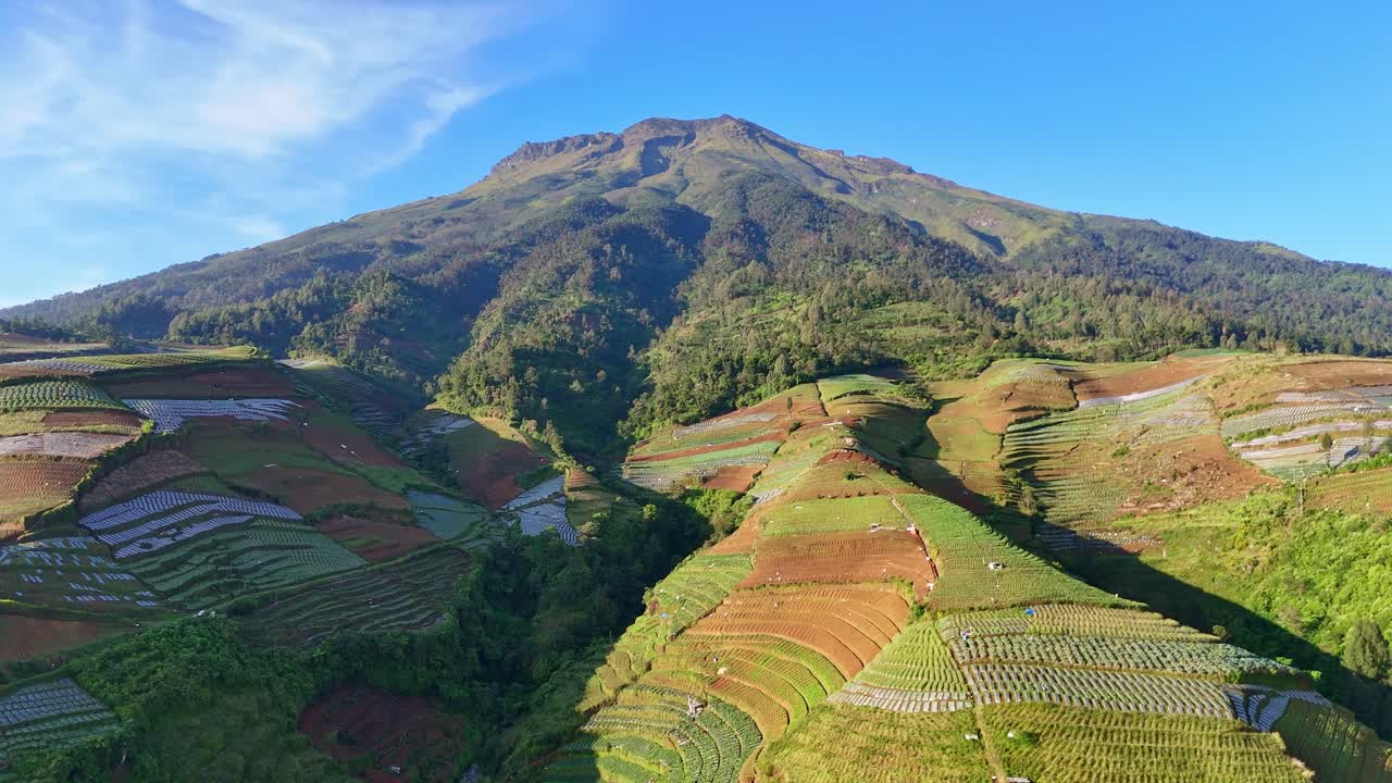 Aerial view of farmland with beautiful patterns on a mountainside on sunny morning. Mount Sumbing, Indonesia.