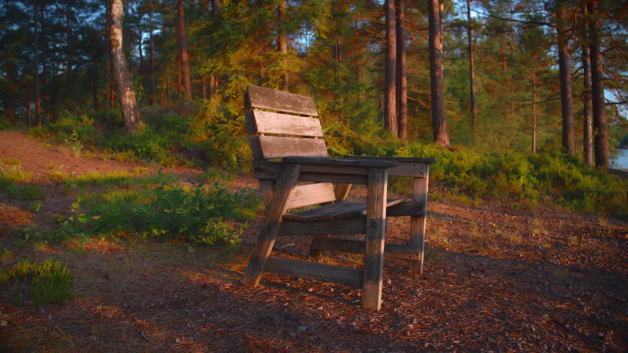 Wooden chair in a forest in Northern Europe