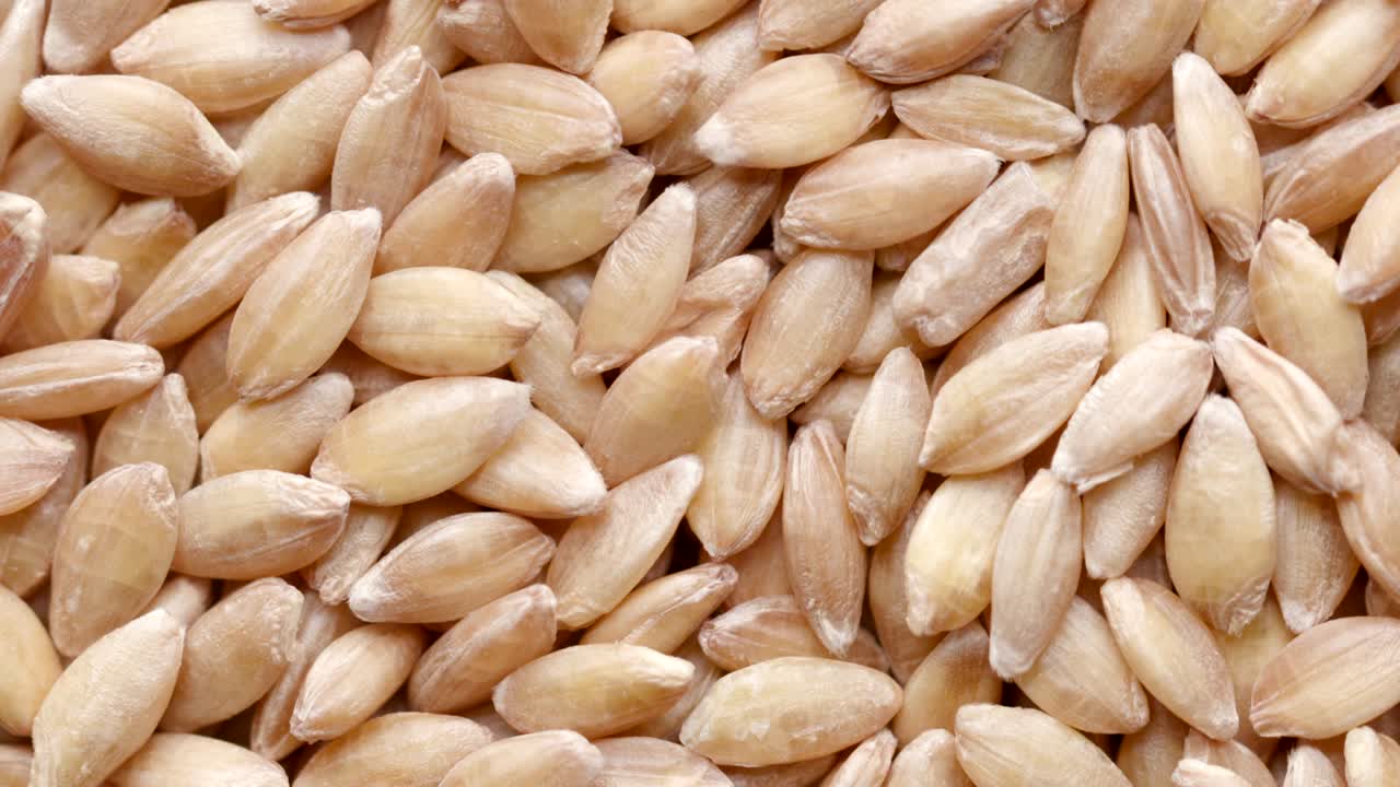 원시 스펠트 씨의 클로즈업: 원형으로 회전하는 씨