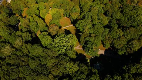 drone shot over the oak park in Kaunas, Lithuania, flying forward