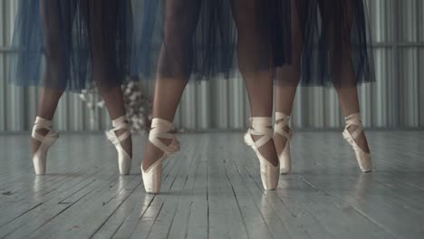 ballet dancers in pointe shoes