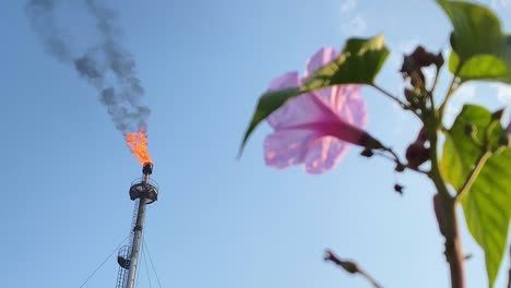 Brennender-Fackelstapel-Der-Petrochemischen-Raffinerie,-Der-über-Rosa-Blüten-Bokeh-Laub-Brennt