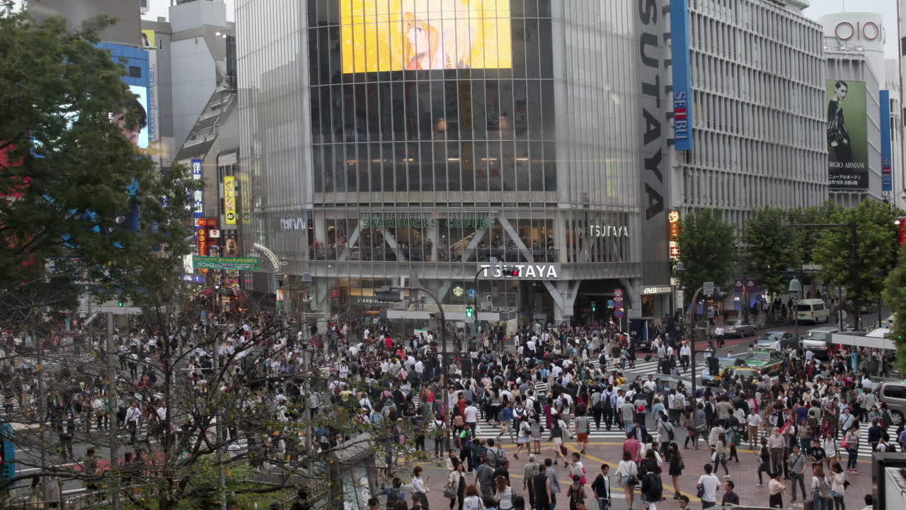 스크램블 교차로 05