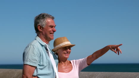 Senior-couple-looking-at-something-from-the-pier