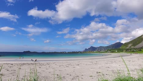 beach lofoten archipelago islands beach