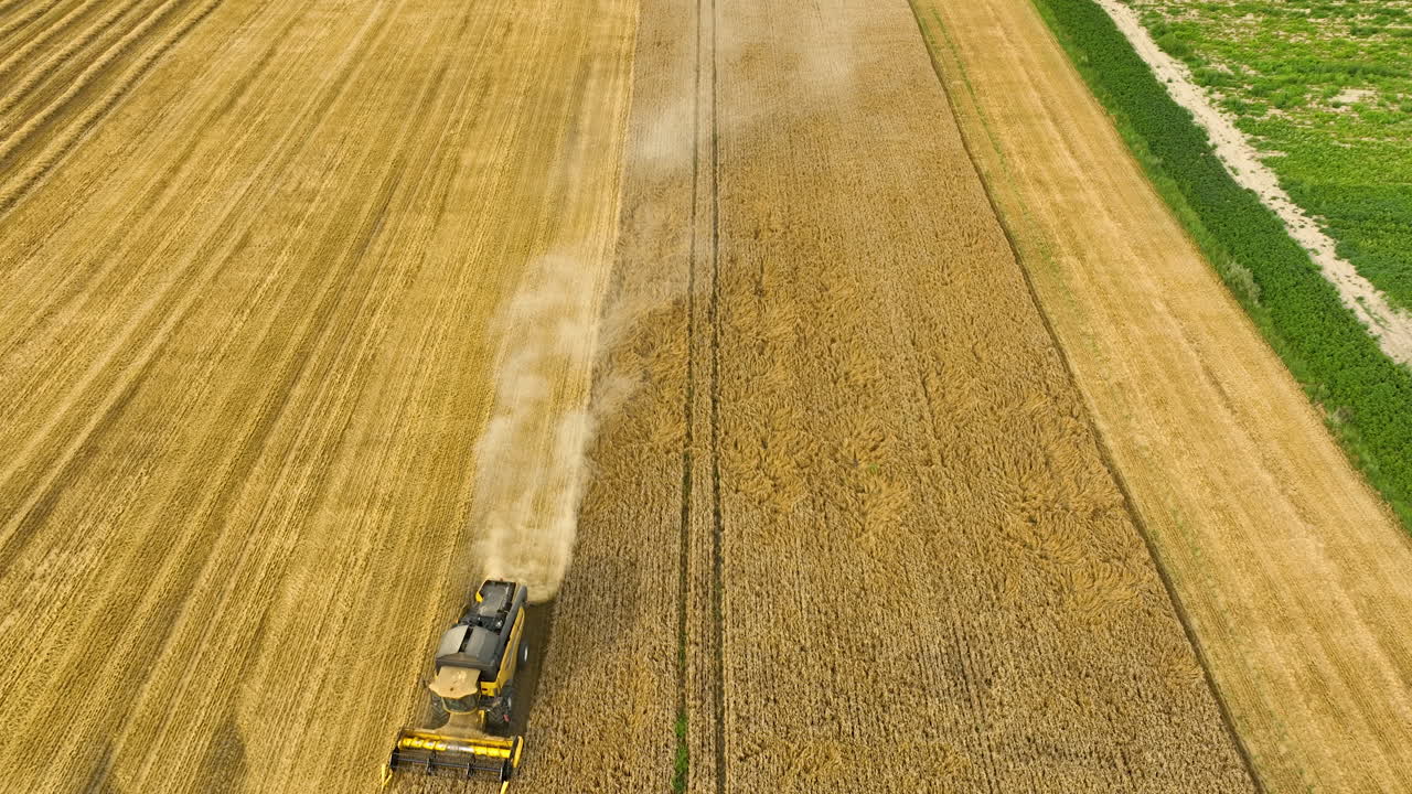 vista aérea de una cosechadora combinada amarilla creando una nube de polvo mientras cosecha trigo en un vasto campo dorado