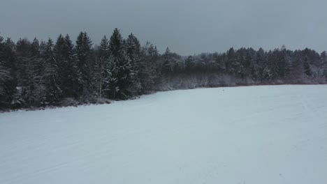 4K-UHD-aerial-drone-clip-of-a-snowy-field-surrounded-by-trees-at-a-forest-in-winter-with-snow-covering-the-tree-tops-in-Bavaria,-Germany