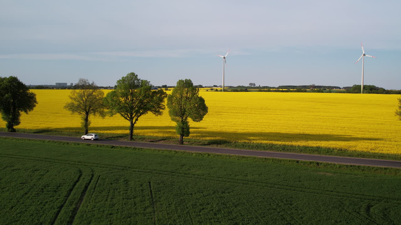 coche montado al lado de un campo de colza