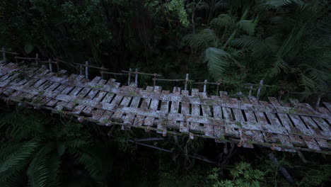 suspended wooden bridge through dense foliage in bolivia rainforest