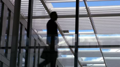 Businesspeople-walking-in-office-corridor