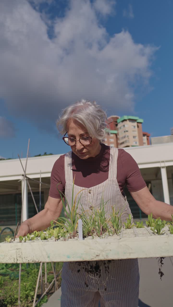 Elderly woman gardening with seedlings