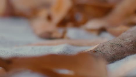 details of pieces of sweet potato peel falling on the table in slow motion