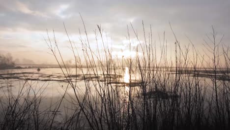 sunrise over a misty river