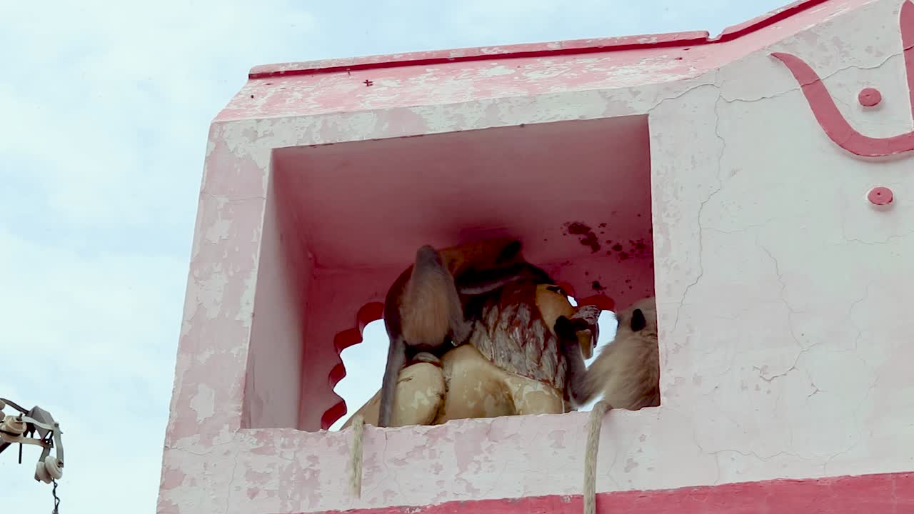 성스러운 여신 호랑이 동상 에 앉아 있는 잎 원 ⁇ 이 들