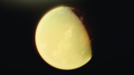 alien civilization planet