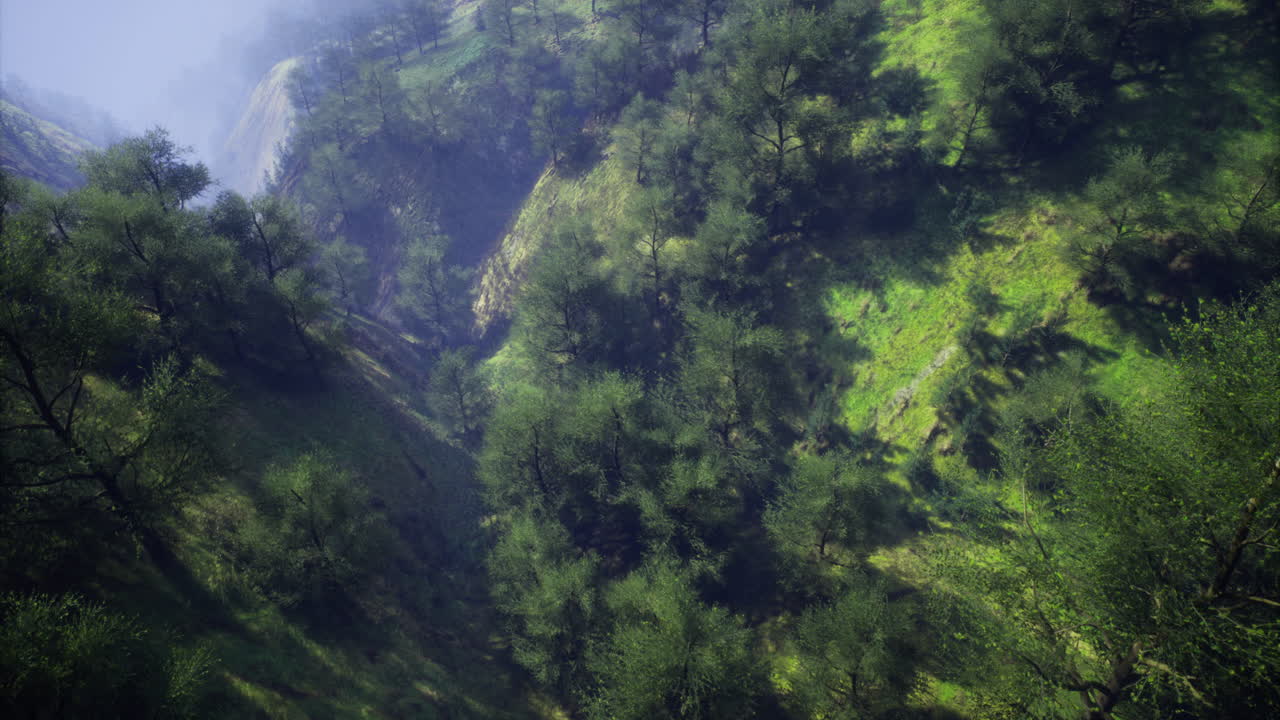 las exuberantes colinas y valles verdes crean una vista de paisaje natural sereno