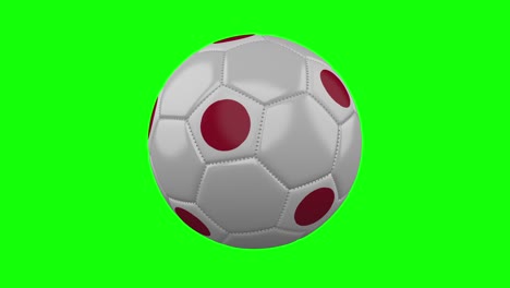 soccer ball with japan flag on green chroma key background, loop