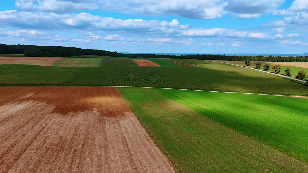 Drohnenansicht von Maisfeldreihen unter blauem Himmel. Luftaufnahme von endlosen Reihen von Maispflanzen auf Ackerland mit blauem Himmel und Horizont