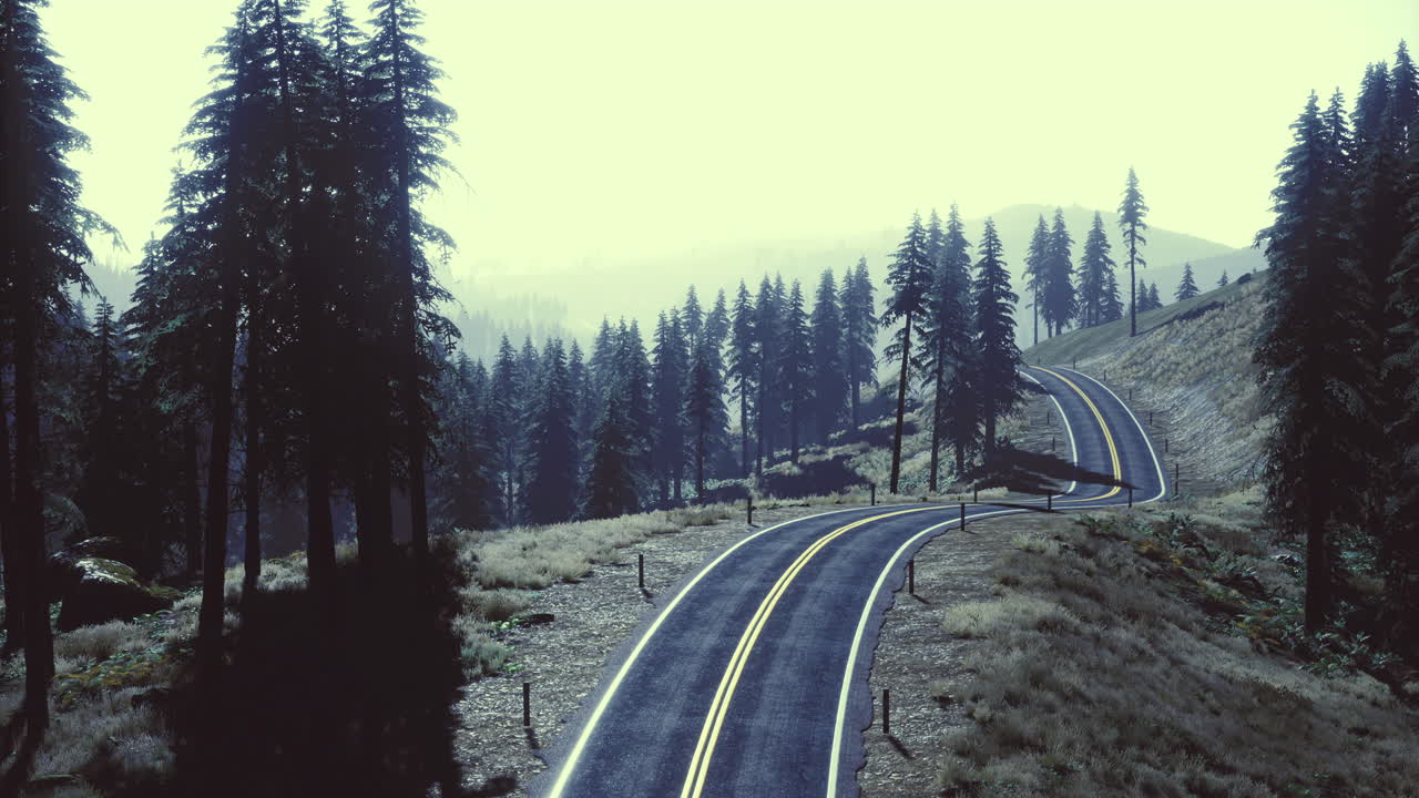 Winding road meanders through lush green forest at dawn