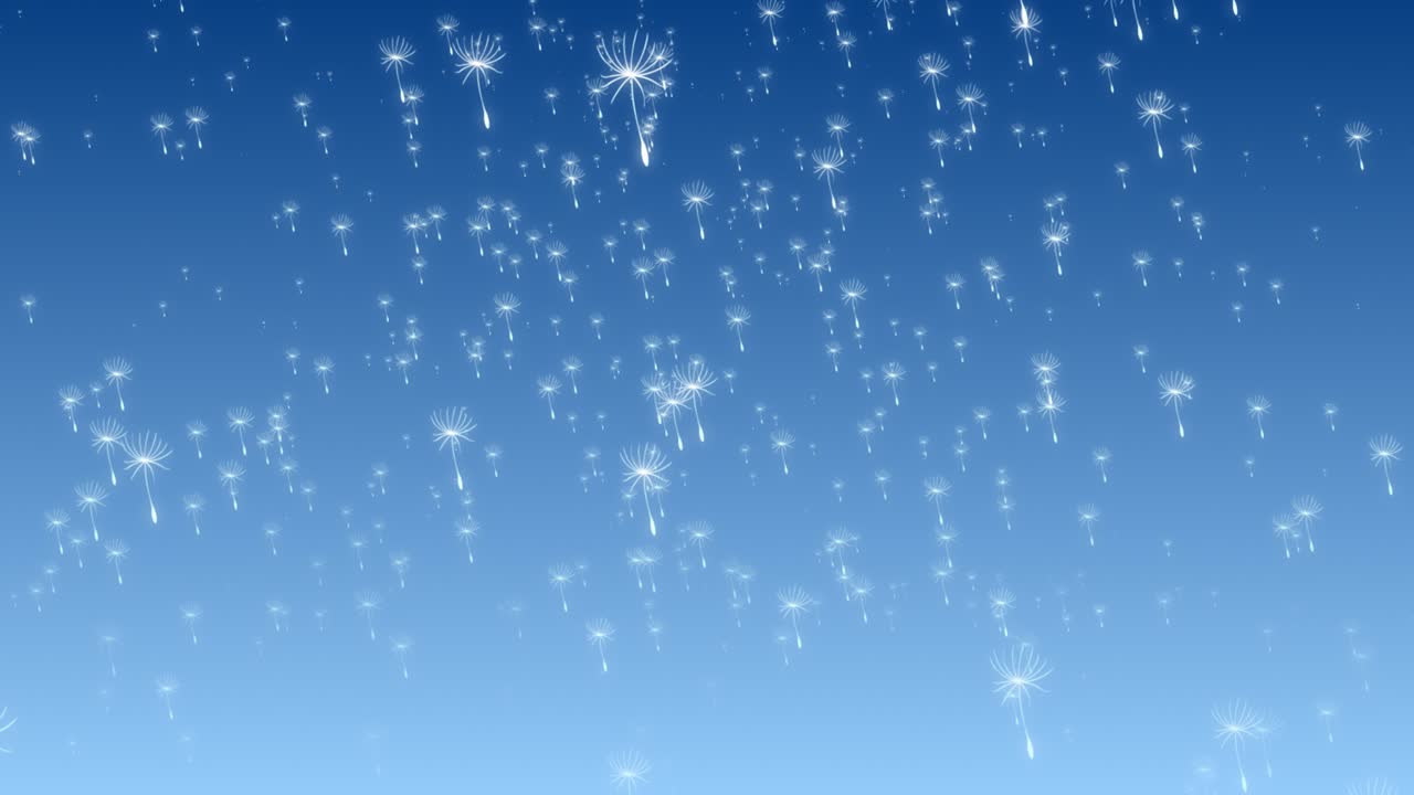 사탕수수 꽃은 하늘에서 부드러운 그라디언트 파스텔 배경 시각 효과 모션 그래픽 3d 동적 추상 파란색 해군