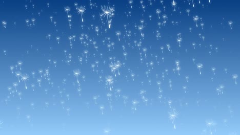 Dandelion-flower-blooms-floating-falling-from-sky-with-soft-gradient-pastel-background-visual-effects-motion-graphics-3D-dynamic-abstract-blue-navy