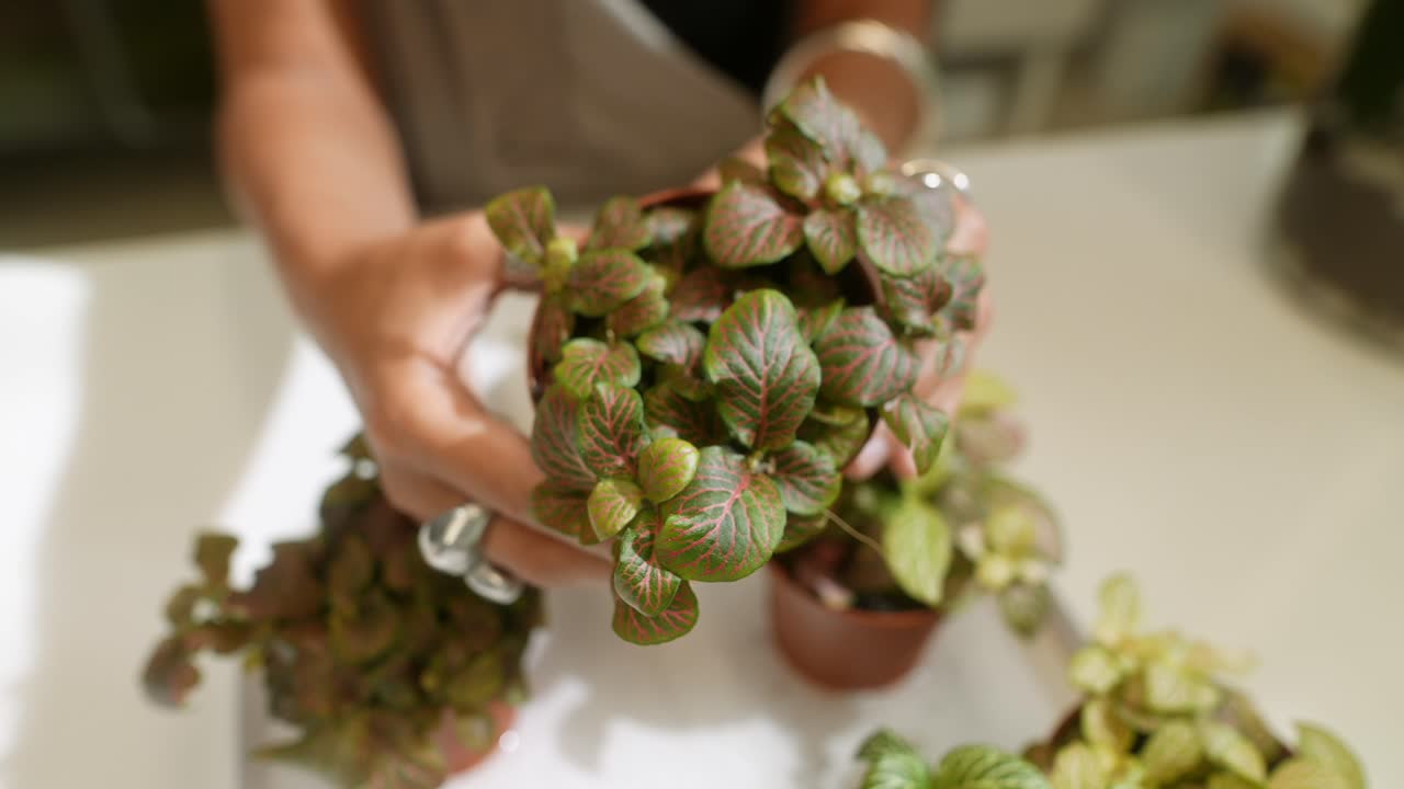 Close-up of Nerve Plants Being Held