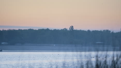 Pink-Sky-Park-Teich-Vor-Sonnenuntergang.-Schöner-See-In-Der-Nähe-Von-Wald-In-Der-Dämmerung.