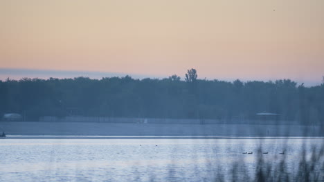 Pink-sky-park-pond-before-sunset.-Beautiful-lake-near-forest-in-twilight.