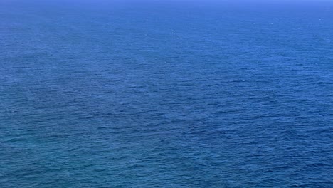 flock of seagulls soar across open deep blue ocean in clear sky above water